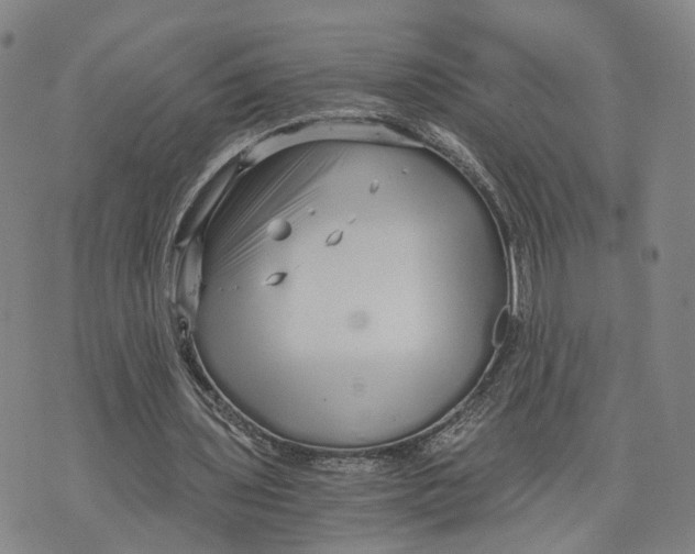 X0000073700435200608311733