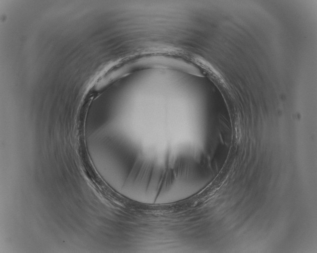 X0000073700436200608311733