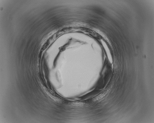 X0000073700437200608311733