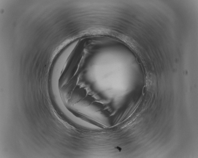 X0000073700438200608311733