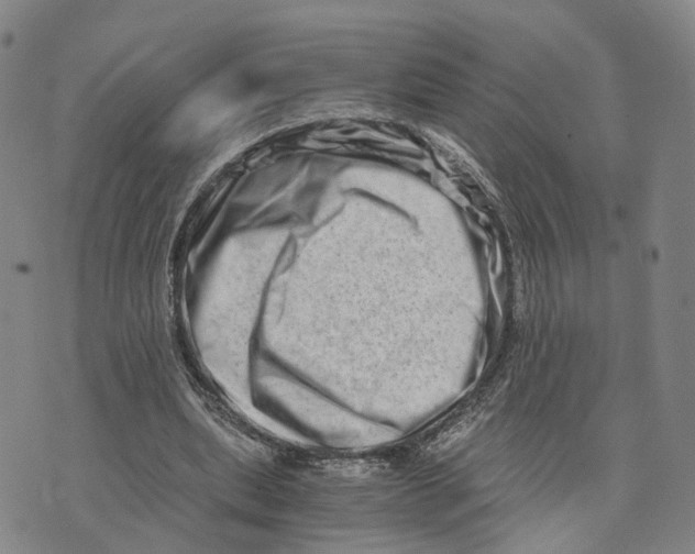 X0000073700439200608311733