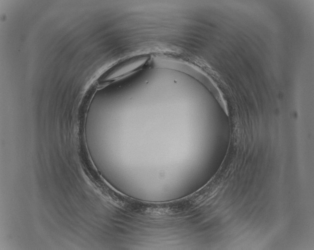 X0000073700440200608311734