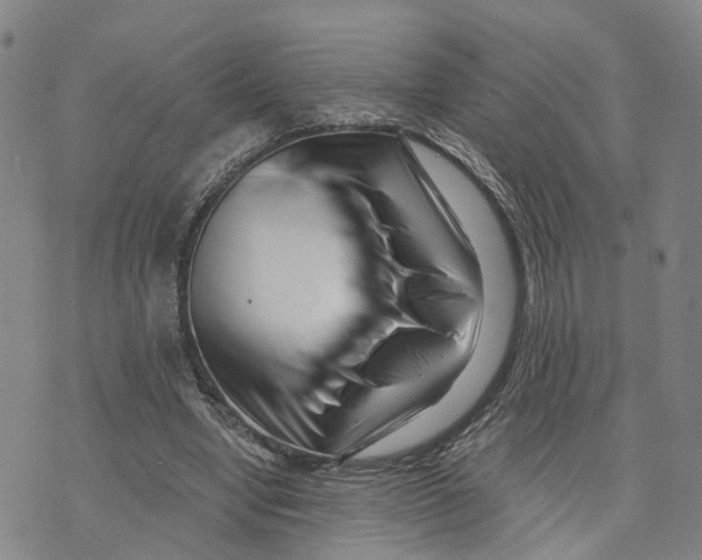 X0000073700442200608311734