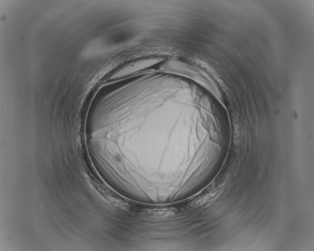 X0000073700443200608311734