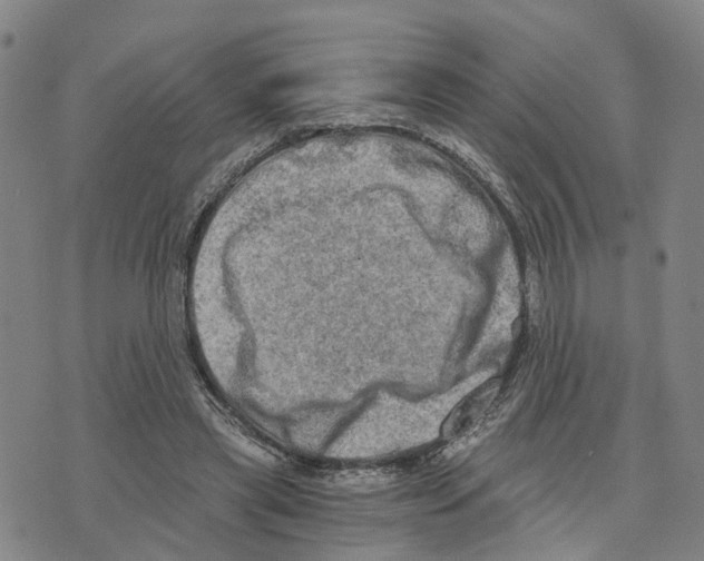 X0000073700445200608311734