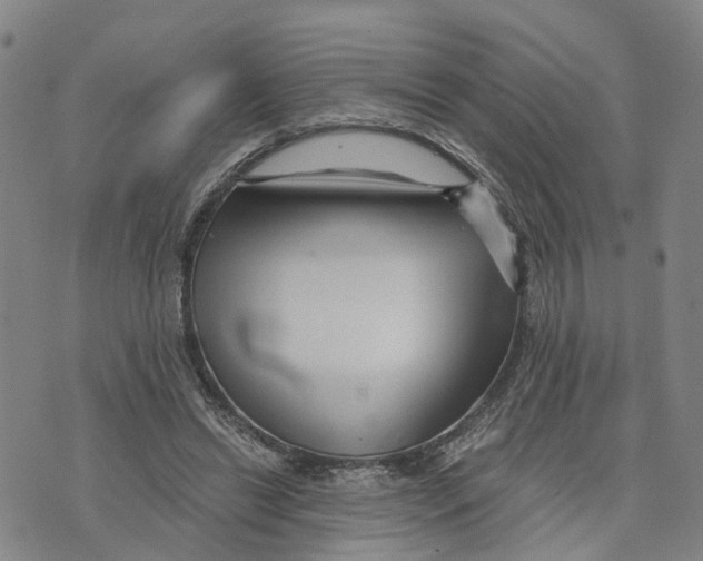 X0000073700446200608311734