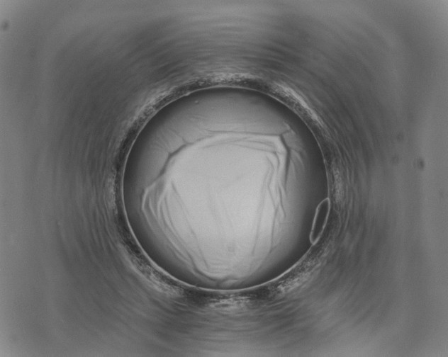 X0000073700447200608311734