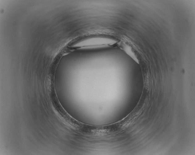 X0000073700448200608311734