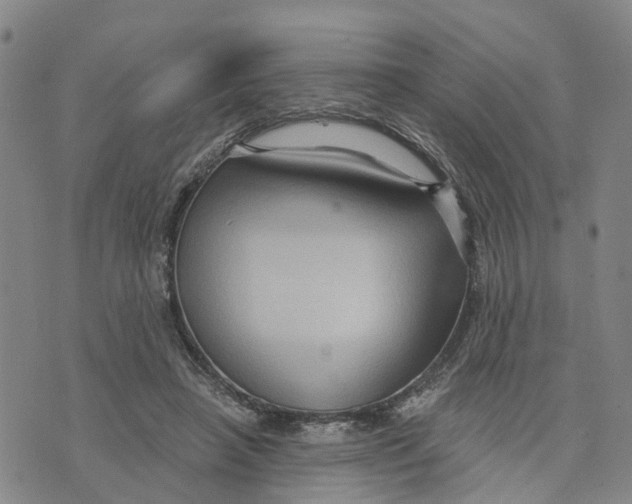 X0000073700450200608311734