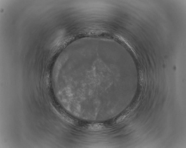 X0000073700451200608311734