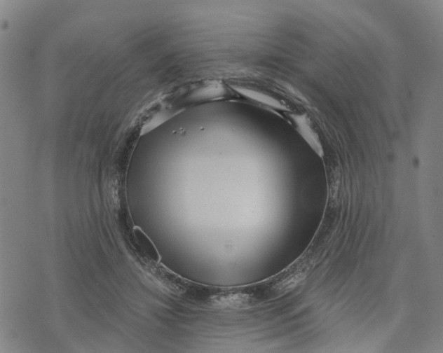 X0000073700452200608311734