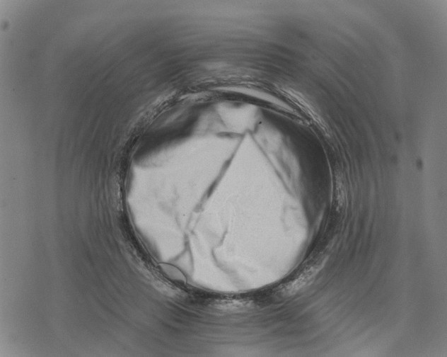 X0000073700453200608311734