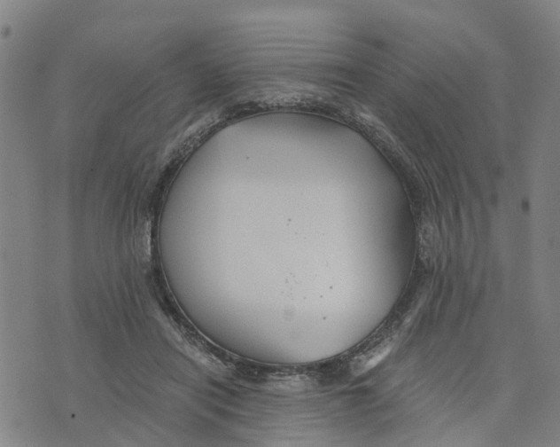 X0000073700454200608311734