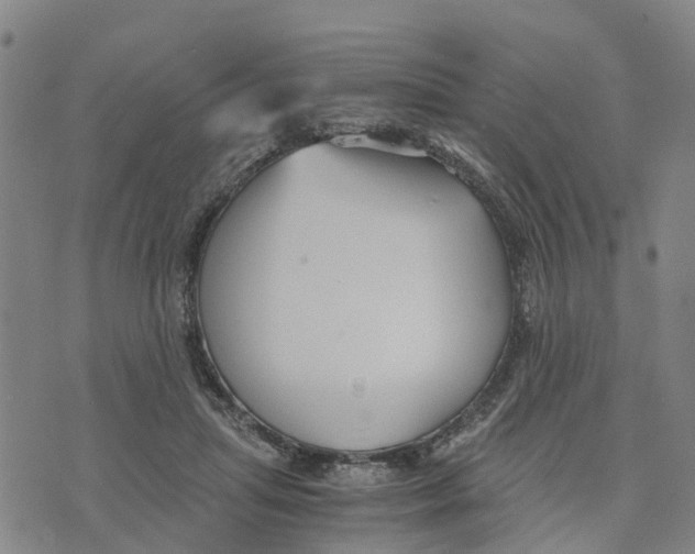 X0000073700455200608311734