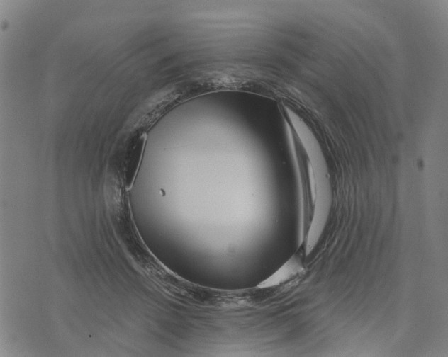 X0000073700456200608311734