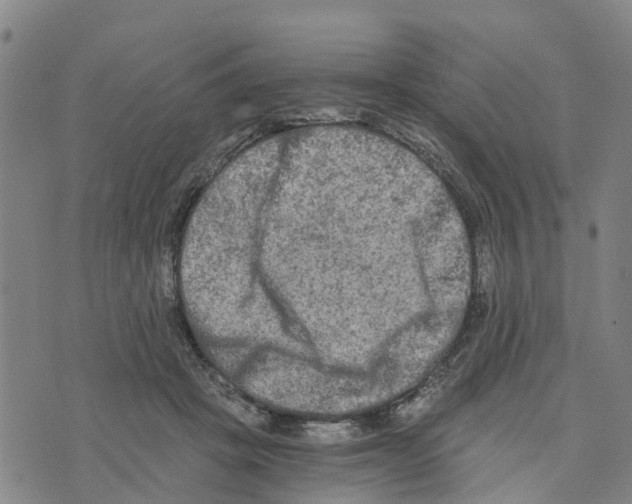 X0000073700457200608311734