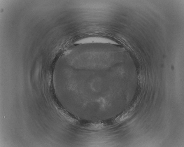 X0000073700458200608311734