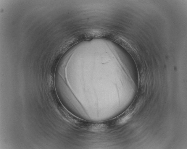 X0000073700459200608311734