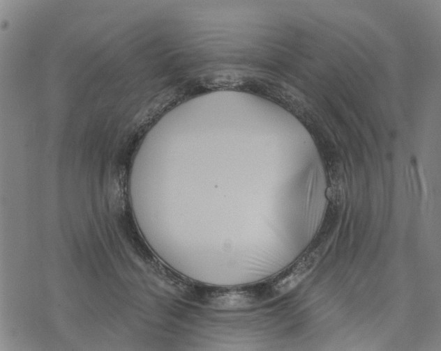 X0000073700460200608311734