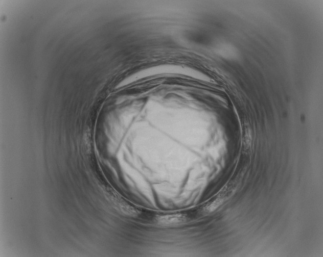 X0000073700461200608311734