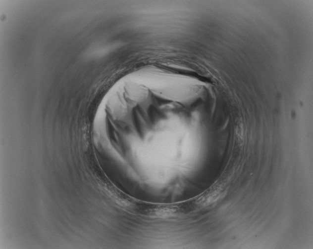 X0000073700462200608311734