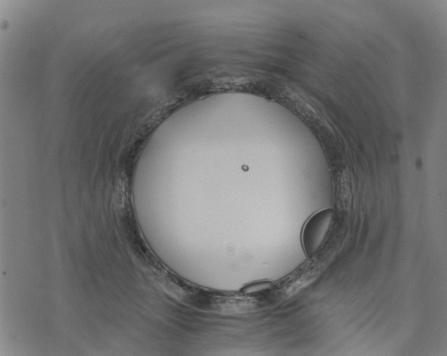 X0000073700463200608311734