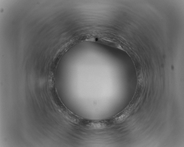 X0000073700464200608311734