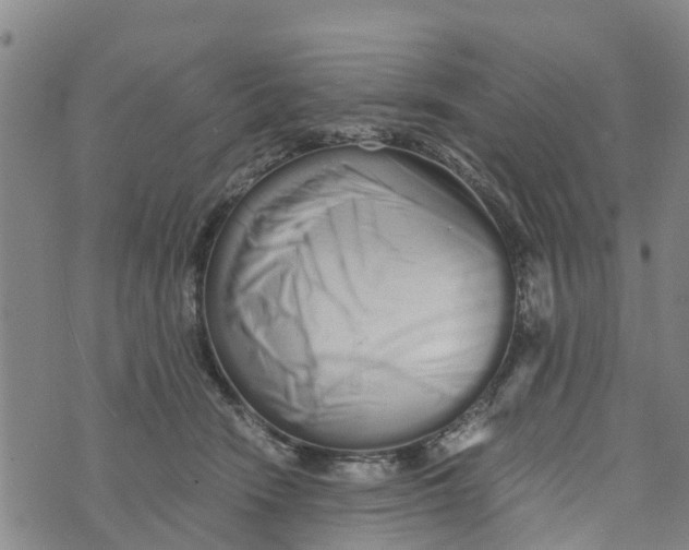 X0000073700466200608311734