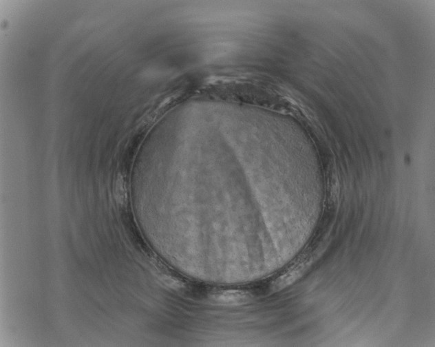 X0000073700467200608311734