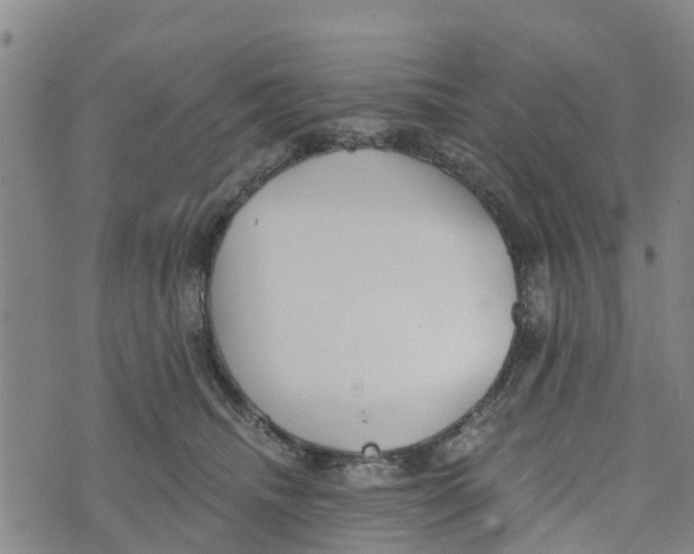 X0000073700468200608311734