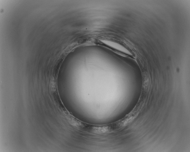 X0000073700469200608311734