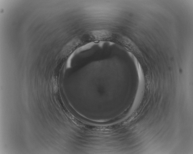 X0000073700471200608311734