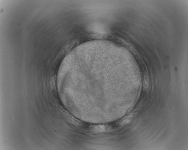 X0000073700473200608311734