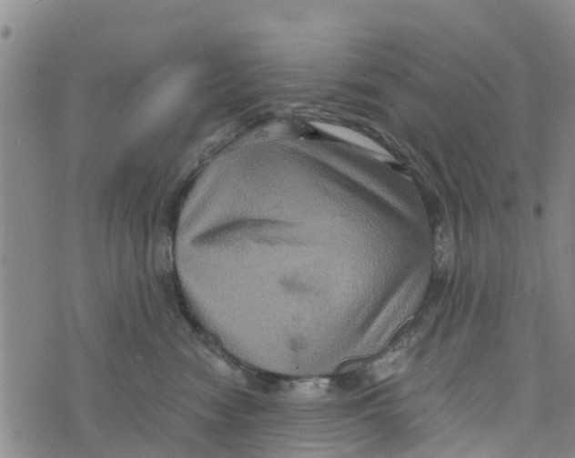 X0000073700474200608311734