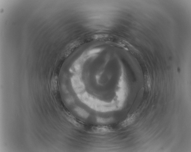 X0000073700475200608311734