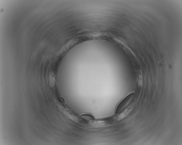 X0000073700476200608311734