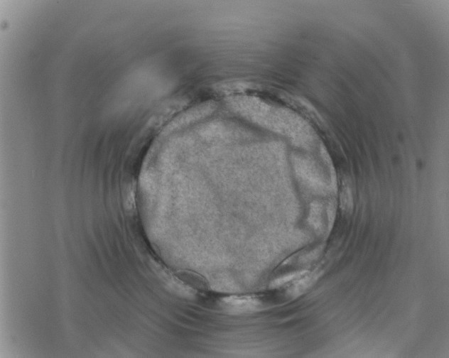 X0000073700477200608311734