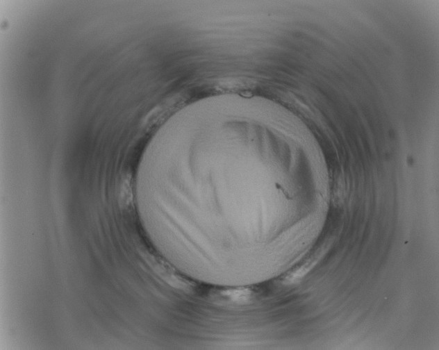 X0000073700478200608311734