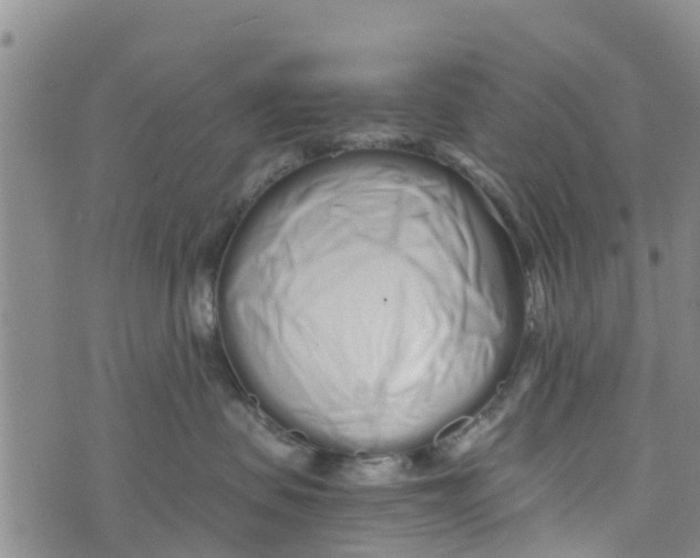 X0000073700479200608311734