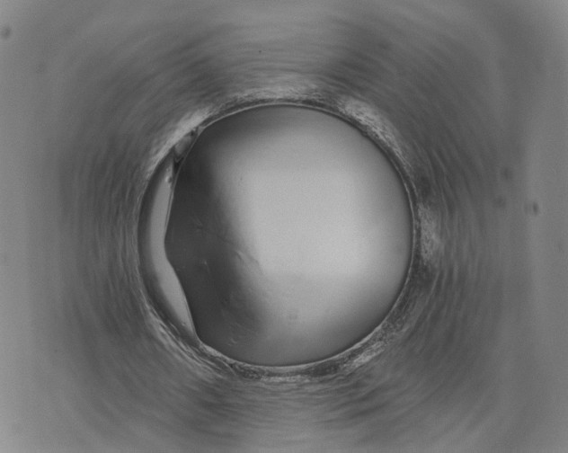 X0000073700482200608311733