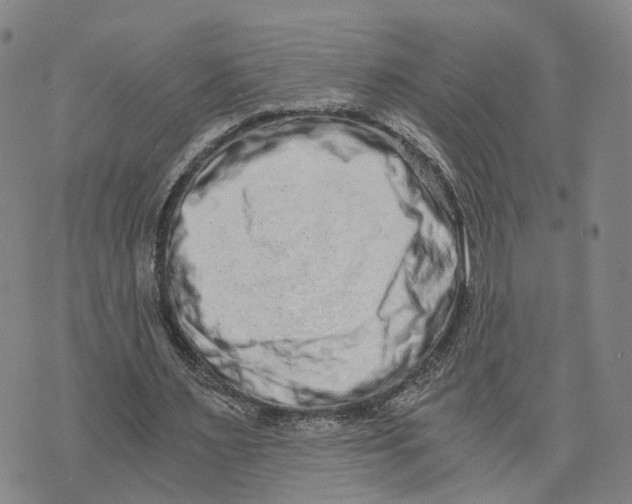 X0000073700483200608311733