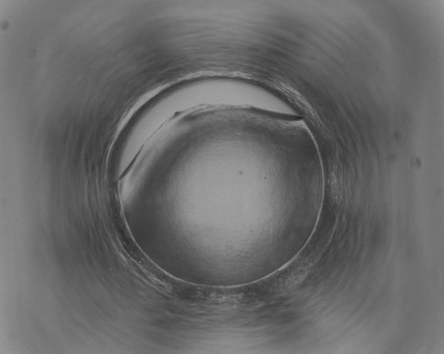 X0000073700484200608311733