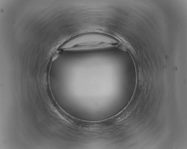 X0000073700485200608311733