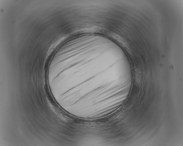 X0000073700486200608311733