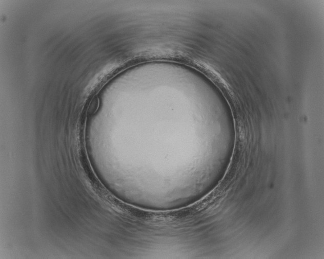 X0000073700487200608311733