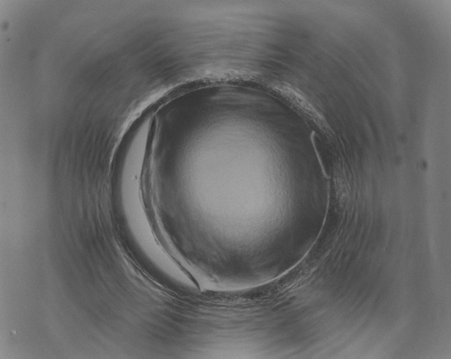 X0000073700488200608311733