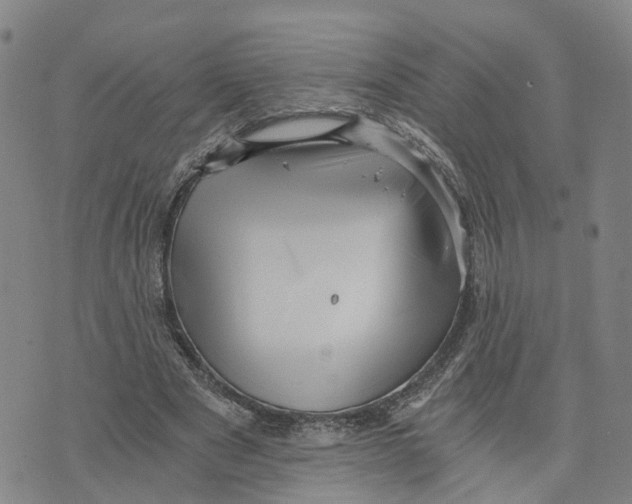 X0000073700489200608311733