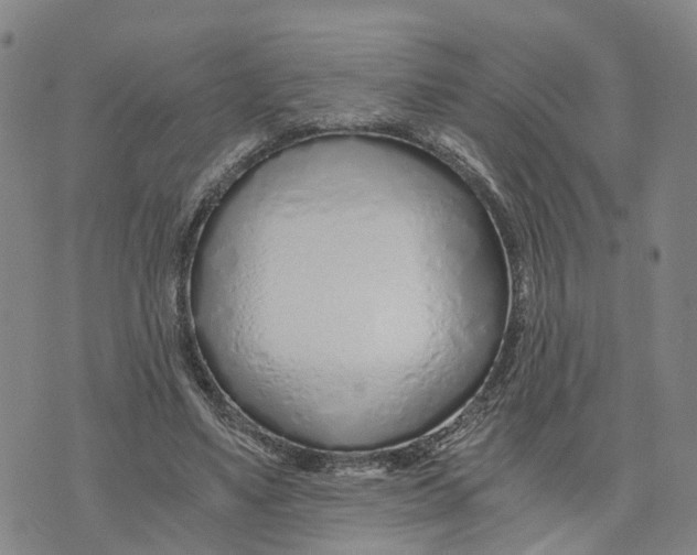 X0000073700491200608311733