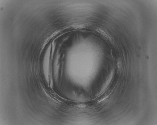 X0000073700492200608311733