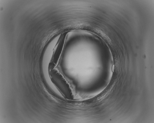 X0000073700493200608311733